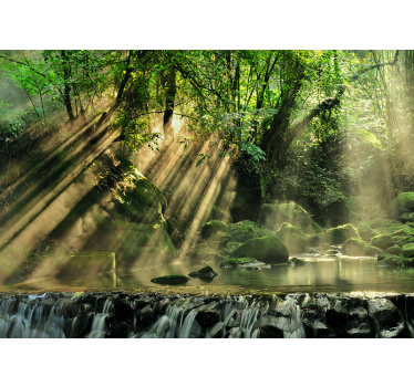 Papel mural naturaleza arroyo forestal iluminado por el sol - TenVinilo