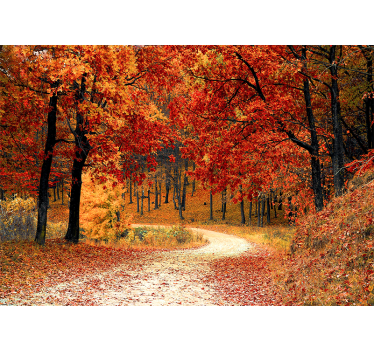 Fotomural árbol Bosque de hojas rojas - TenVinilo