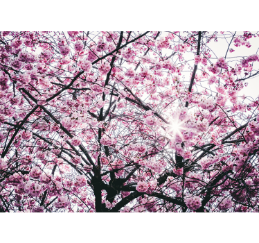 Fotomural árbol árboles de flor de cerezo - TenVinilo