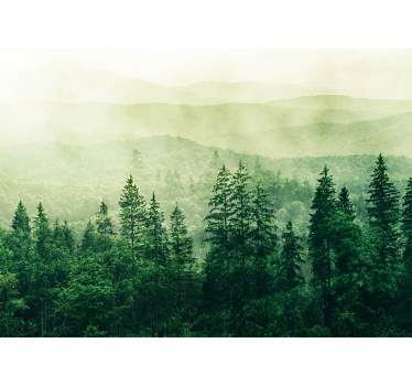 Papel mural naturaleza paisaje verde brumoso - TenVinilo