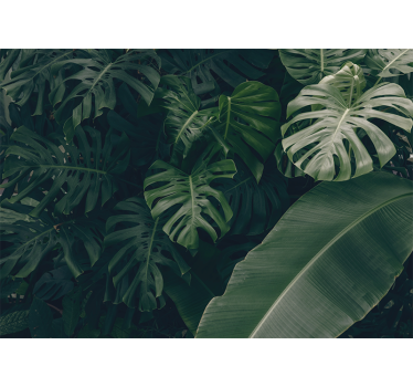 Papel mural naturaleza verde tropical vivo - TenVinilo