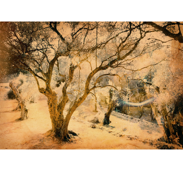 Papel mural bosque Árboles de olivo dorado - TenVinilo