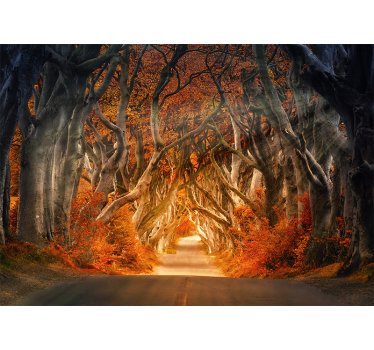 Papel mural bosque camino del bosque encantado - TenVinilo