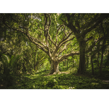 Fotomural de naturaleza Verde lugar encantado en el bosque - TenVinilo