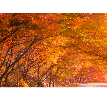 Papel mural bosque camino del bosque en otoño - TenVinilo
