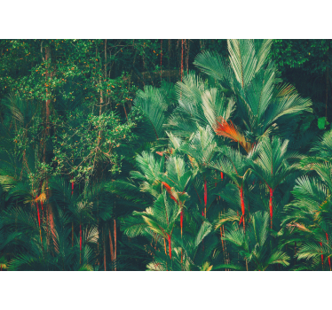 Papel mural selva colección palmas tropicales - TenVinilo