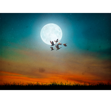 Papel mural naturaleza cielo nocturno aves - TenVinilo