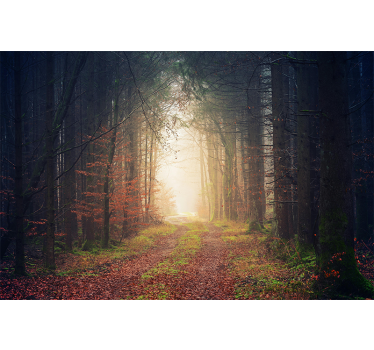 Fotomural bosque camino de otoño - TenVinilo