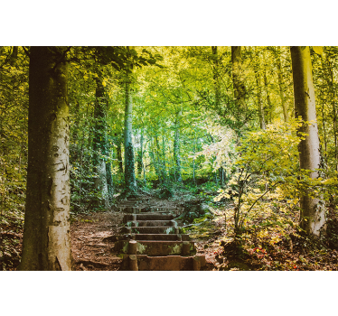 Fotomural bosque camino con escaleras - TenVinilo