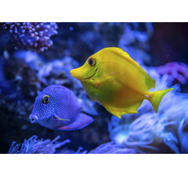 Fotomural mar azul y amarillo de peces - TenVinilo