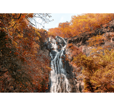Mural de paisaje otoñal con cascada - TenVinilo
