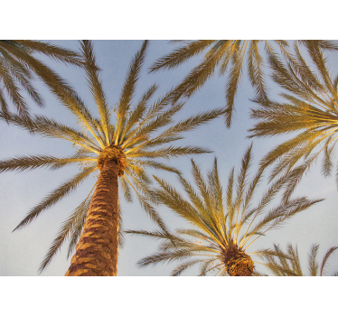Mural pared de árbol de palmera y cielo azul - TenVinilo