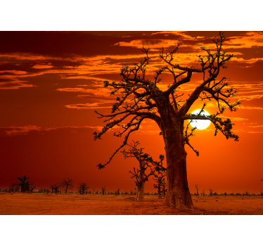 Papel mural paisaje africano puesta de sol - TenVinilo