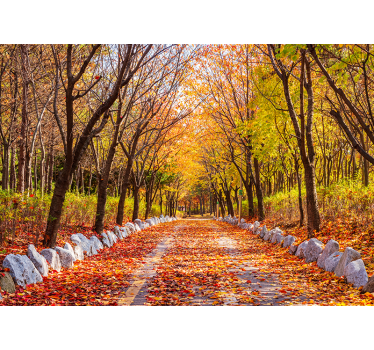 Papel mural bosque otoño camino hojas caídas - TenVinilo