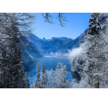Fotomural lago helado y bosque con bruma - TenVinilo