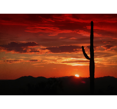 Fotomural de desierto puesta de sol - TenVinilo