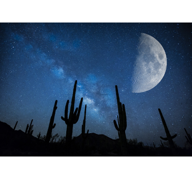 Papel mural paisajes cielo nocturno de cactus - TenVinilo