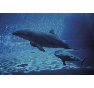 Fotomural animales delfines nadando - TenVinilo