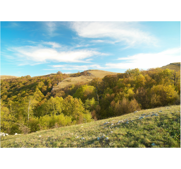 Fotomural de naturaleza Paisaje de campo - TenVinilo