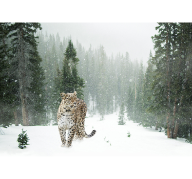 Foto mural 3d Leopardo 3d - TenVinilo