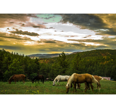 Fotomural de naturaleza Caballos en las montañas - TenVinilo
