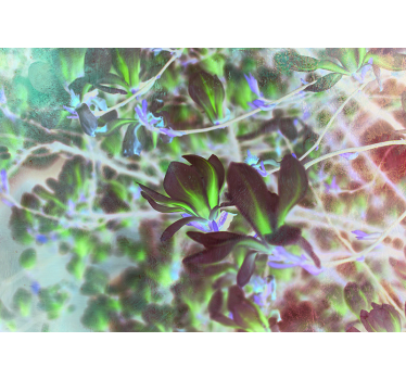 Fotomural magnólias árbol de flor rosa - TenVinilo