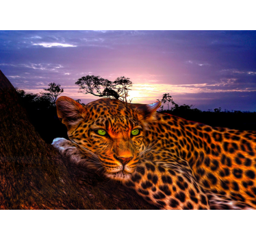 Mural animal Reflejos de leopardo hacia abajo - TenVinilo