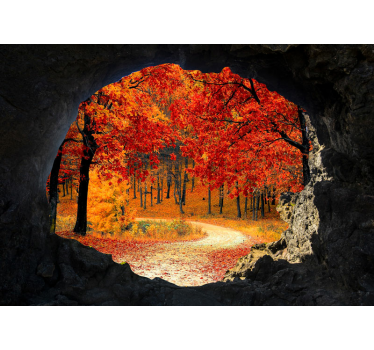 Fotomural de naturaleza Vistas al bosque en otoño desde la cueva - TenVinilo