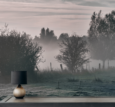 Fotomural bosque Grandes árboles en un campo con niebla - TenVinilo