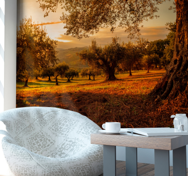 Fotomural árbol campo olivares andaluz - TenVinilo