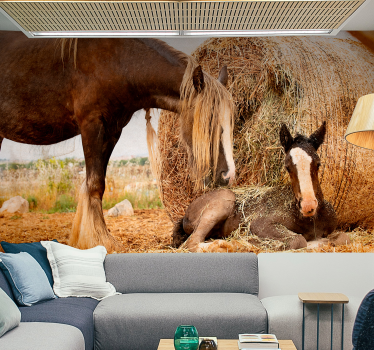 Fotomural de naturaleza Caballo joven con wheet - TenVinilo