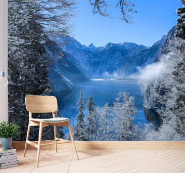 Fotomural lago helado y bosque con bruma - TenVinilo