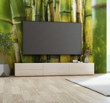 Papel pintado verde bambú realista - TenVinilo
