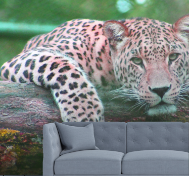 Fotomural salón Jaguar selva animales del bosque - TenVinilo
