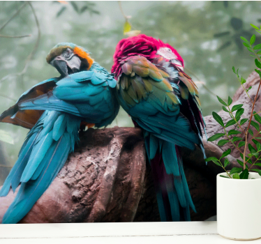 Fotomurales africanos Impresionantes loros salvajes - TenVinilo