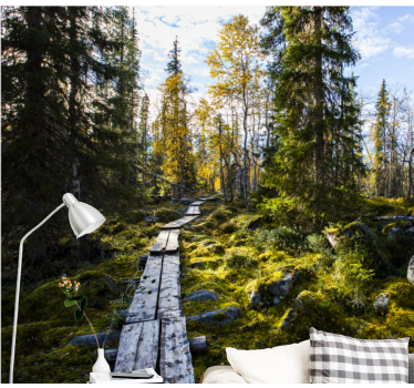Fotomurales de ciudades Parque nacional koli finlandia - TenVinilo