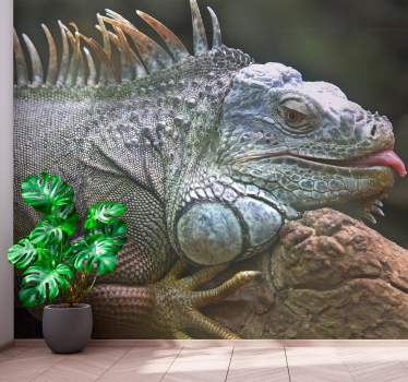 Mural animal Iguana - TenVinilo