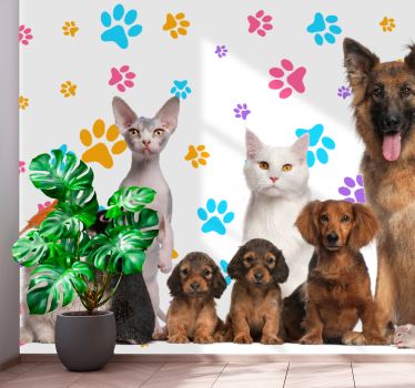 Mural animal Perros y gatos - TenVinilo