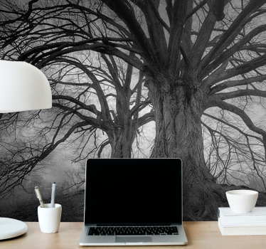 Papel mural bosque Árboles majestuosos sin hojas - TenVinilo