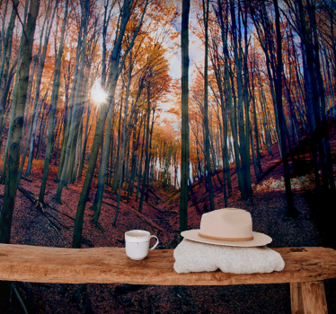 Papel mural bosque bosque de otoño soleado - TenVinilo