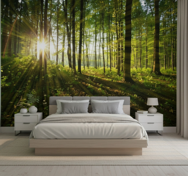 Papel mural bosque bosques del sol radiante - TenVinilo