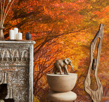 Papel mural bosque camino del bosque en otoño - TenVinilo