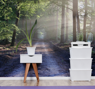 Papel mural bosque camino iluminado por el bosque - TenVinilo