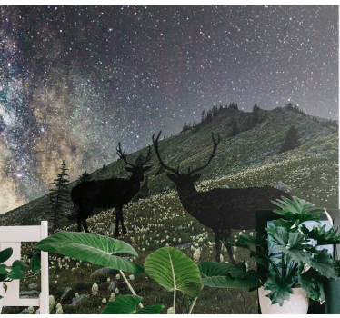 Papel mural bosque ciervos de la noche estrellada - TenVinilo