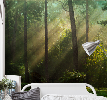 Papel mural bosque escena de bosque encantado - TenVinilo