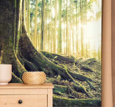 Papel mural bosque raíces de árbol iluminadas - TenVinilo