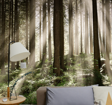 Papel mural bosque rayos del bosque luminoso - TenVinilo