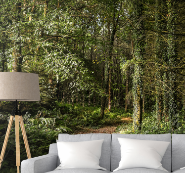 Papel mural bosque sendero del bosque frondoso - TenVinilo