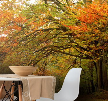 Papel mural bosque vista del bosque en otoño - TenVinilo