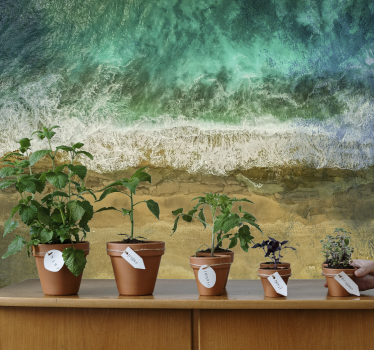 Papel mural naturaleza arreglo de plantas costeras - TenVinilo
